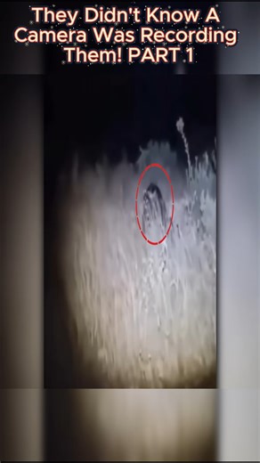 They Didn't Know A Camera Was Recording Them 1 | Knowledge Facts