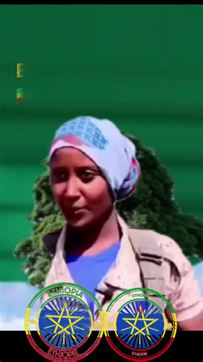 Ethiopian Army: Strength and Commitment