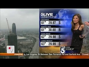 Meteorologist Humiliated On Live TV For Her 'Inappropriate' Dress