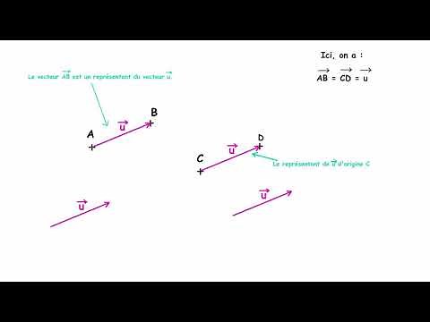 Vecteurs égaux (version courte)