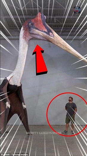 Giant Animals That Actually Exist 😱