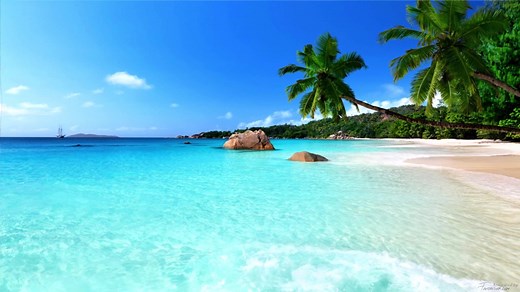 Plage : Fonds d'écran PC qui bougent gratuits à télécharger !