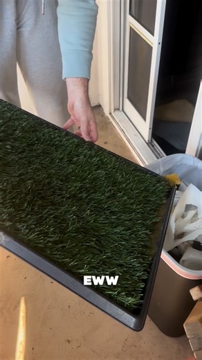 Okay dog parents… we need to talk 😅 Pee pads are messy and smelly, fake grass traps odor, and regular grass patches get expensive fast. We’ve been using @barkpotty and honestly it just makes life easier. It’s made from natural bark so dogs instantly recognize it as “outside,” it has odor-repelling properties, and it lasts weeks before needing to be tossed. No scrubbing, no daily replacing, no weird smells. It is lightweight, leak-resistant, and such a good backup when life gets busy. Dog parent