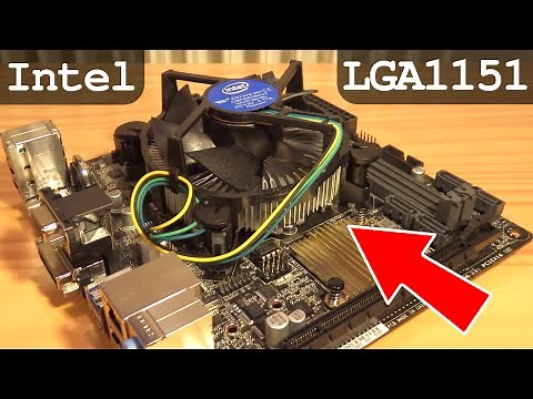 How To Install CPU Intel LGA1151 and Fan - i3 6100