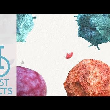 IOU YouTube: How does the immune system identify self vs non self