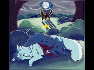 Warrior cats relationships that have gone wrong
