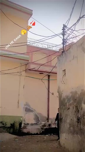 Understanding Comments in Social Media Culture