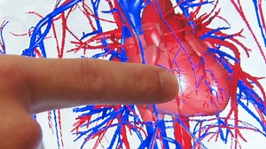 Engineering researchers have published in Science a breakthrough 3D bioprinting method that brings the field of tissue engineering one step closer to being able to 3D print a full-sized, adult human heart. Learn more: https://engineering.cmu.edu/news-events/news/2019/08/01-feinberg-science-paper.html | Carnegie Mellon College of Engineering