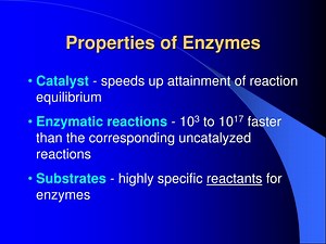 Properties of Enzymes - SlideServe