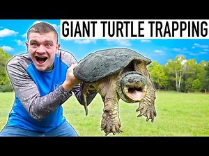 CATCHING GIGANTIC SNAPPING TURTLES! (35 Pounds)