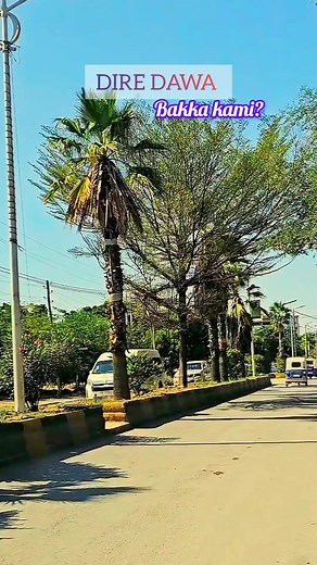 Discover the Heart of Diredawa: Music and Culture