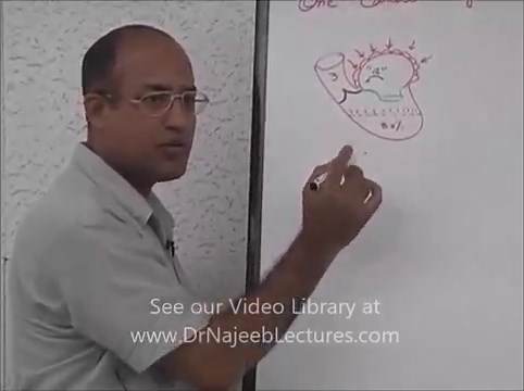 Cardiac Cycle - Systole & Diastole - Cardiology