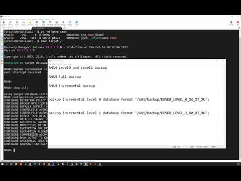 RMAN Level 0 & Level 1 Backups for DBAs