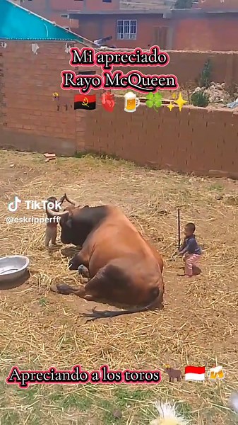 Pasión Por Los Toros: Rayo McQueen y Más