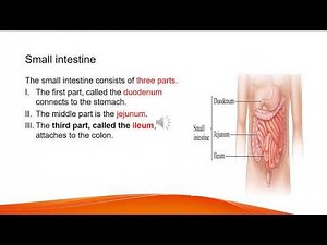 Biology Grade 9 unit 3 part six