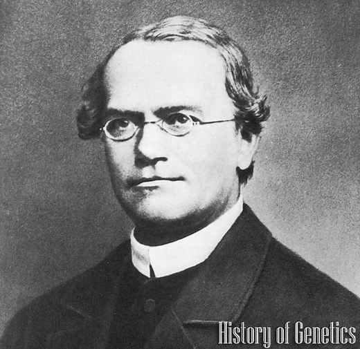 History of Genetics By Year | DNA History | BioExplorer