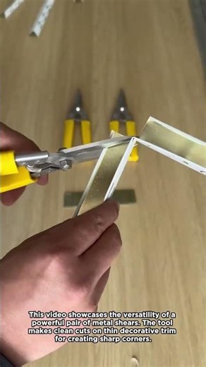 The Ultimate Multi Purpose Metal Shears