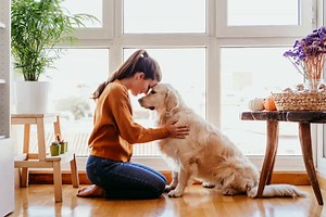 Best Protection and Guard Dogs for Women Living Alone