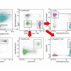 4.9K views | Molecular Probes on Reels | Facebook