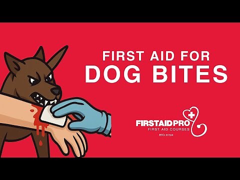 First Aid for Dog Bites