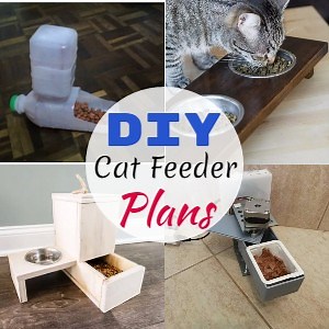 27 DIY Cat Feeder Plans With Instructions - DIYnCrafty