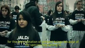 140K views · 3.5K reactions | Today 10th December is International...