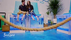 100K views · 227 reactions | Interactive Games, Water Tables, selfies...