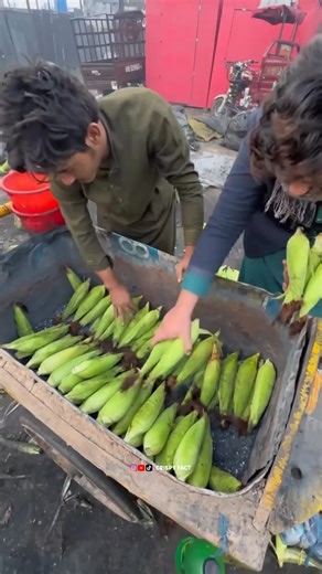 Roasting Corn the Traditional Way #foryoupage #crispyfact #Fact #Foryou #viral
