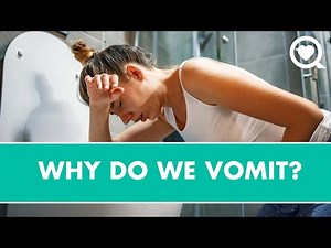 Why Do We Vomit?