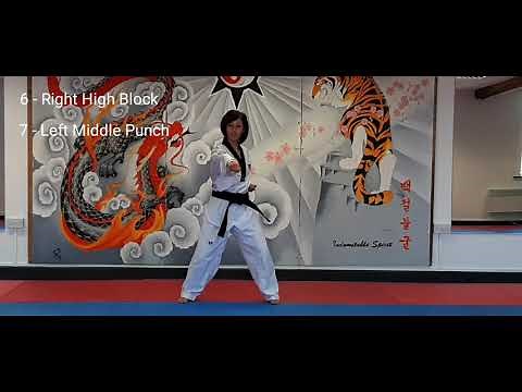 10 Basic Movements in Taekwondo | Beginners