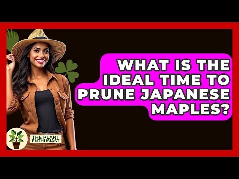 What Is The Ideal Time To Prune Japanese Maples? - The Plant Enthusiast