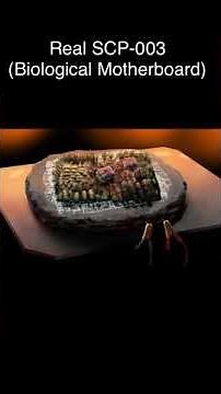 SCP-003 - Biological Motherboard (SCP Library)