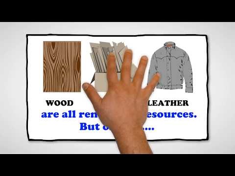 Examples of Renewable Resources