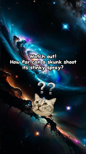 Watch out! How far can a skunk shoot its stinky spray?