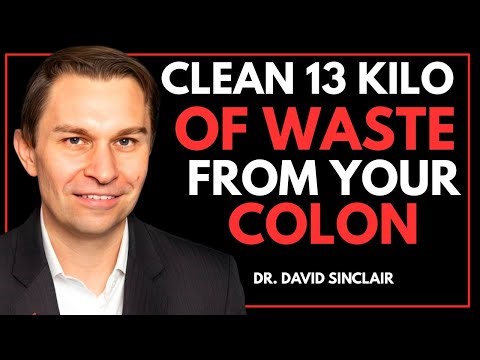 Drink This 1 Glass Before Bed to Cleanse Your Colon Fast (Works in 10 Minutes) || DR. DAVID SINCLAIR