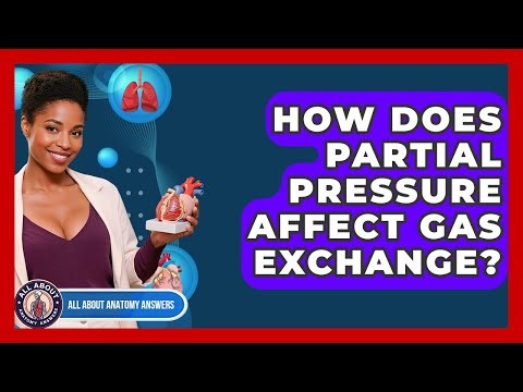 How Does Partial Pressure Affect Gas Exchange? - All About Anatomy Answers
