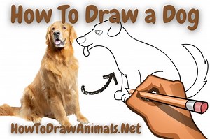 How To Draw a Dog - EASY Drawing Tutorial!