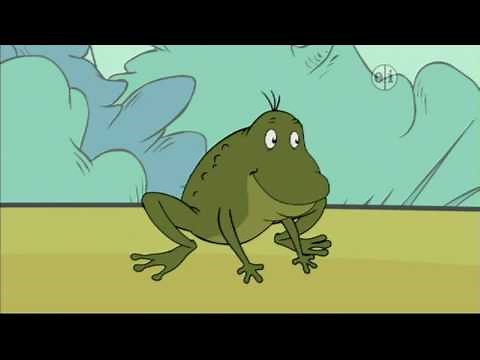 PBS Kids Program Break (2013 KQED)