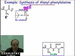 Peptide Synthesis