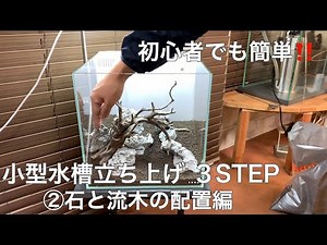 初心者でも簡単！小型水槽立ち上げで、押さえておきたい３つのステップ「②レイアウト構図編」小型アクアリウムのノウハウ The making of mini aquarium How to layout