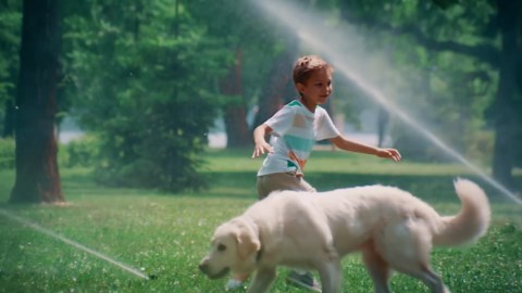 Ten breeds best equipped to handle coyotes