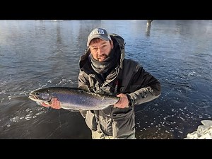 Winter Steelhead Fly Fishing- Salmon River NY