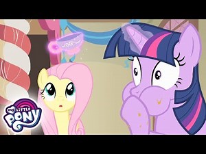 My Little Pony Deutsch 🦄 Ein Vogel im Huf | Freundschaft ist Magie | Ganze Folge MLP