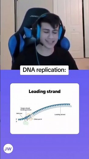 Leading vs. Lagging Strand | MCAT DNA Replication 🧬