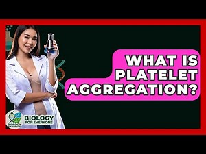 What Is Platelet Aggregation? - Biology For Everyone