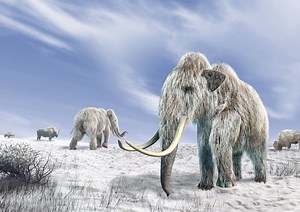 Frozen in time: 10 prehistoric animals found trapped in ice