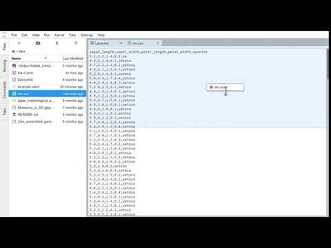 JupyterLab CSV editing