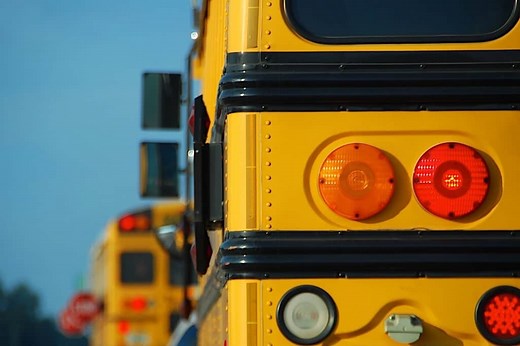 Understanding the Different School Bus Types