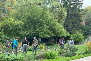 Plant identification? There’s an app for that—actually several!