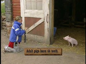 Charlotte's Web - How do They do That? (2006)